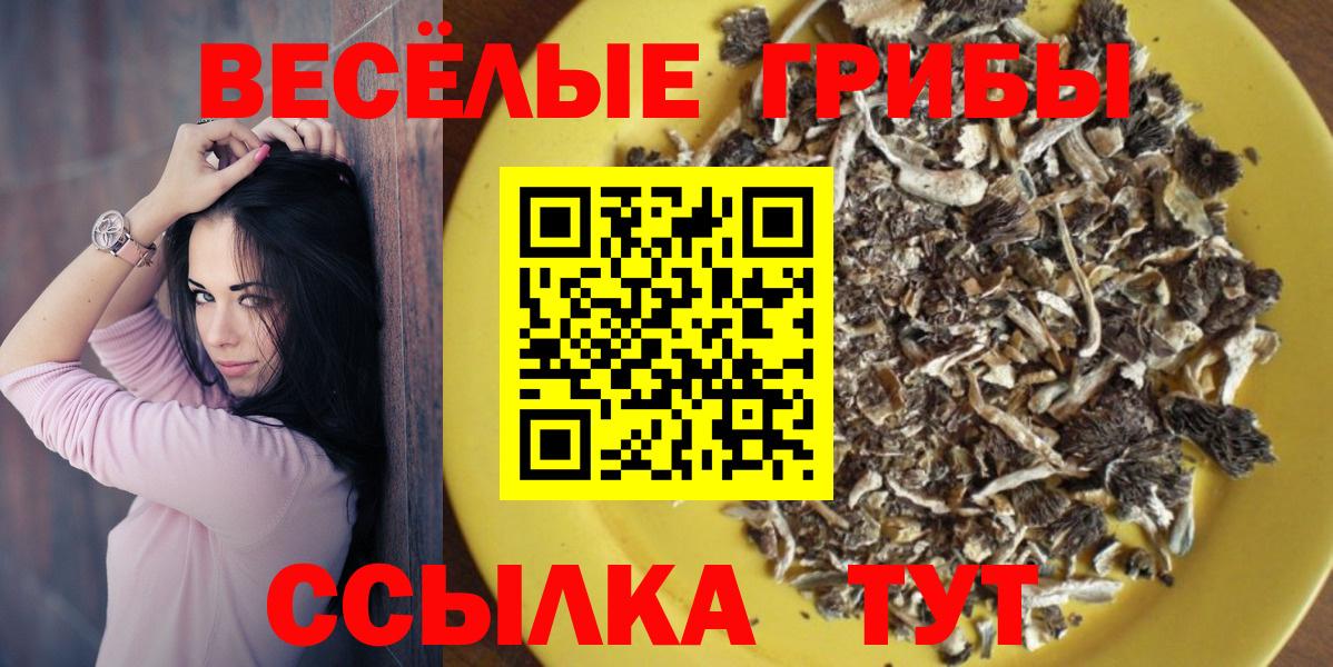 Псилоцибиновые грибы GOLDEN TEACHER  купить  сайты  Галлюциногенные грибы мицелий  Ревда  Вход с VPN 
